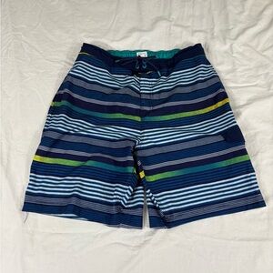 Speedo Mens Multicolor Striped Board Swin Shorts Size L